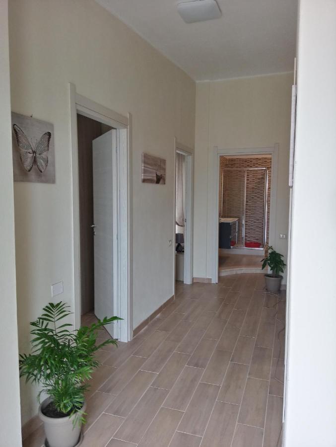 Apartment Luminoso Con Terrazza......c.u......q2483 Sinnai